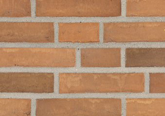 RT 425 Rose Miletegl DKNF