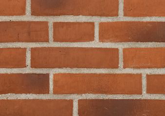 RT 481 Red nuanced DKNF